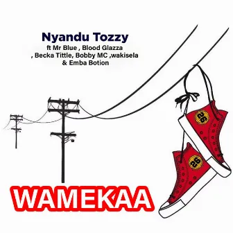 Wamekaa by Nyandu Tozzy