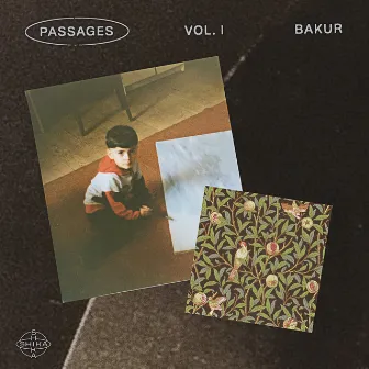 Passages Vol. I by Bakur