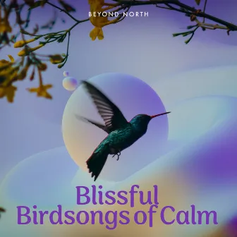 Blissful Birdsongs of Calm by Beyond North