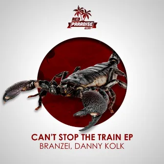 Can't Stop The Train by Branzei