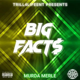 BIG FACT$ by Murda Merle