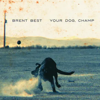 Your Dog, Champ by Brent Best