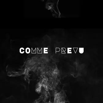 Comme prévu by Zedou