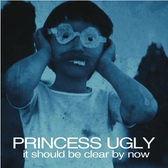 It Should Be Clear By Now by Princess Ugly