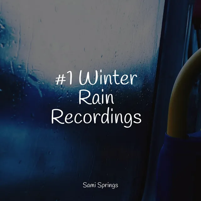 #1 Winter Rain Recordings