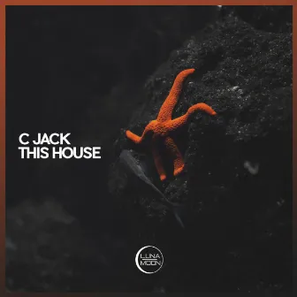 This House by C Jack