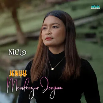 Jenuh Mendengar Janjimu by Nicip