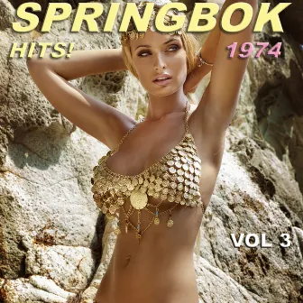 Springbok Hits 1974 - Vol 3 by Springbok