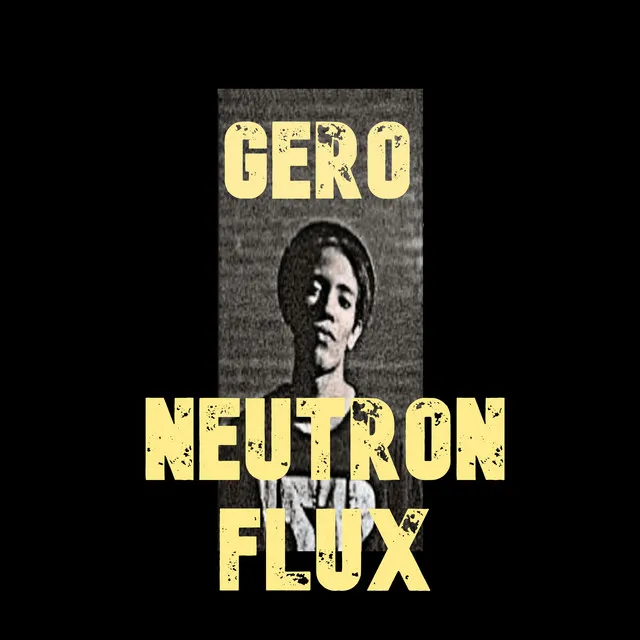 Neutron Flux