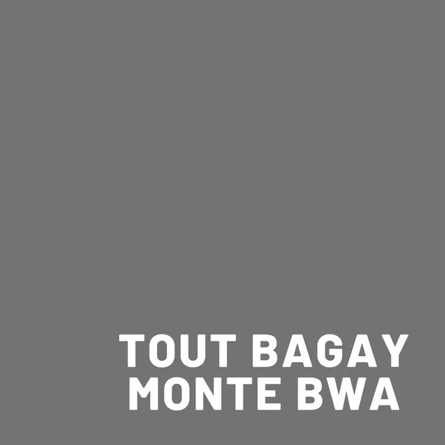 Tout Bagay Monte Bwa