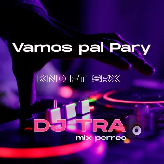 Vamos pal Pary (DJ TRA Remix) by KND