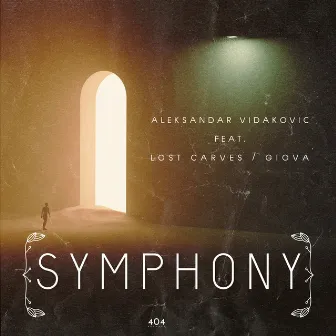 Symphony by Aleksandar Vidakovic