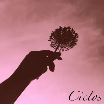 Ciclos by Pepzi