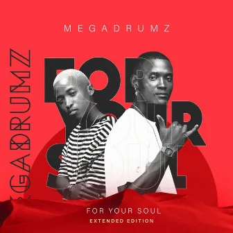 For Your Soul (Extended Edition) by Megadrumz