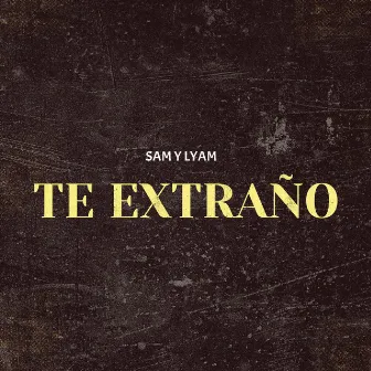 Te Extraño by Lyam