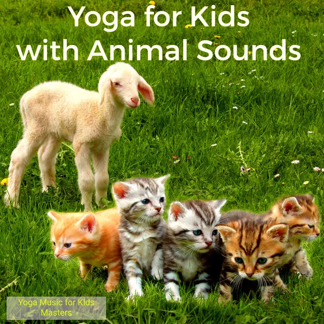 Yoga for Kids with Animal Sounds – Cats and Kitten, Lambs and Goats Nature Sounds for Kids Yoga Classes