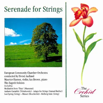 Serenade For Strings by Thoinot Arbeau