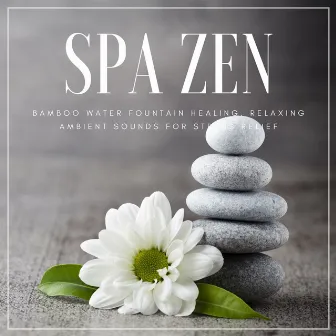 Spa Zen: Bamboo Water Fountain Healing, Relaxing Ambient Sounds for Stress Relief by Relax 4 Relax