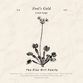 Fool's Gold by The Fine Grit Family