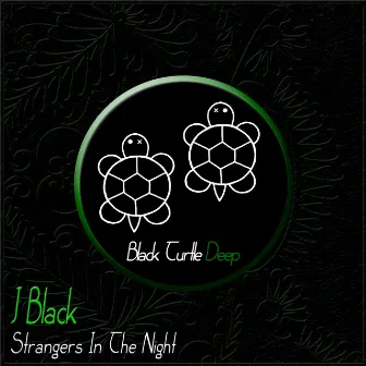 Strangers in the Night by J Black