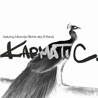 KARMATIC (feat. Mbandja Ritchie aka B-Bandj) by DJ RENA