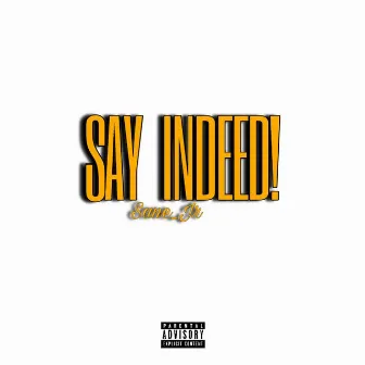 Say Indeed by Sane_Jr