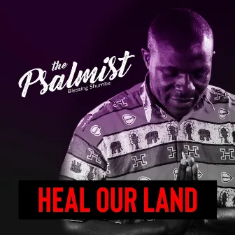 Heal Our Land by Blessing Shumba