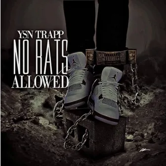 No Rats Allowed (2018) by Ysn Trapp