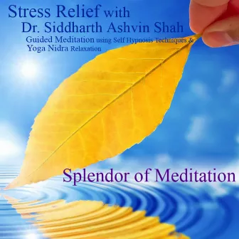 Stress Relief (Guided Meditation Using Self Hypnosis Techniques) [And Yoga Nidra Relaxation] by Splendor of Meditation