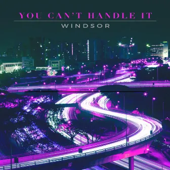 You Can't Handle It by Windsor