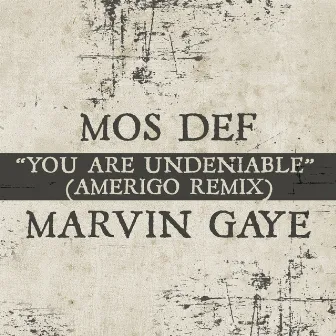 You Are Undeniable (Amerigo Remix) by Mos Def