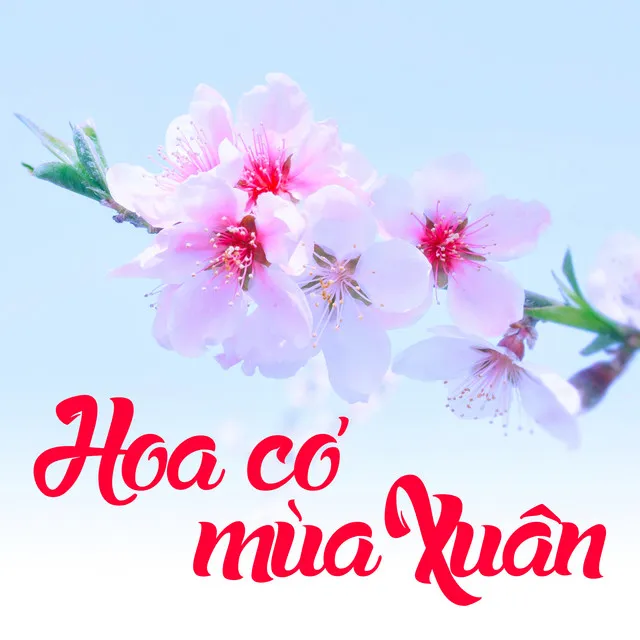 Nắng Có Còn Xuân