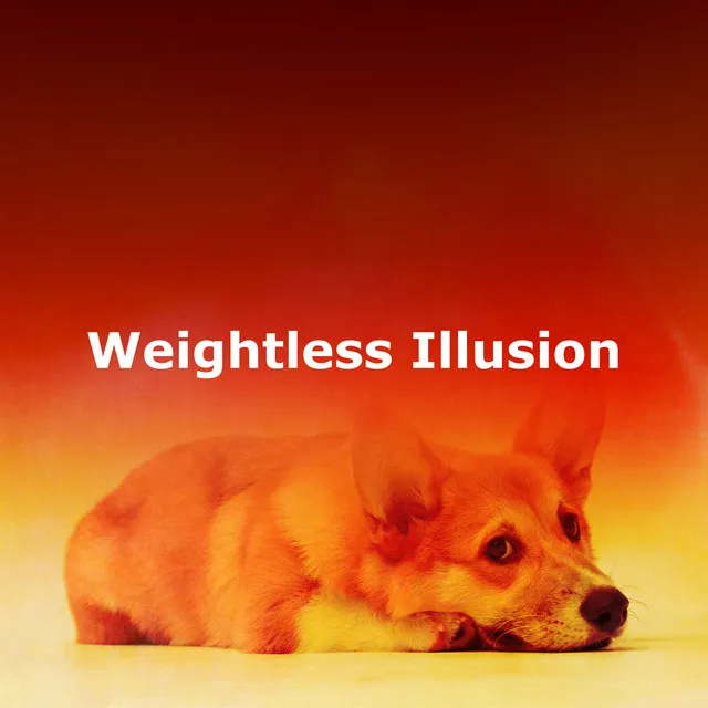 Weightless Illusion