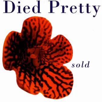 Sold by Died Pretty