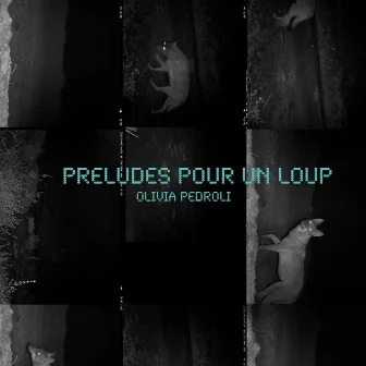 Préludes Pour Un Loup by Olivia Pedroli