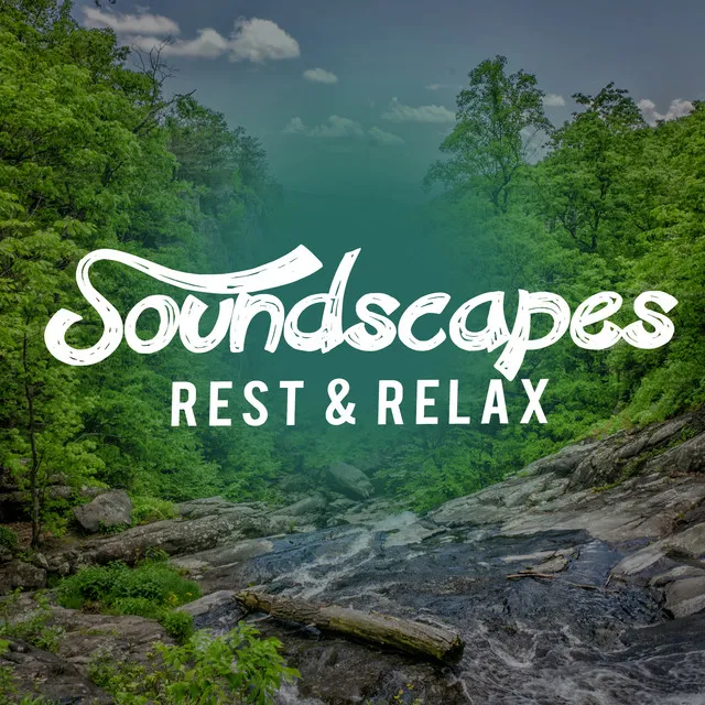 Soundscapes: Rest & Relax