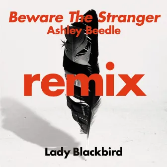 Beware The Stranger (Ashley Beedle Remix) by Ashley Beedle