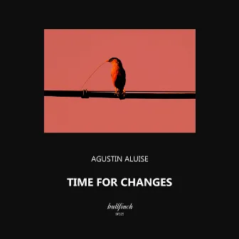 Time for Changes by Agustin Aluise