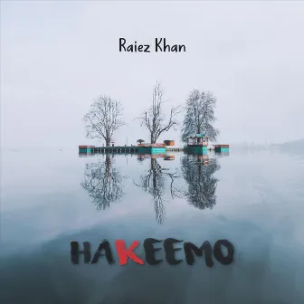 Hakeemo by Raiez Khan