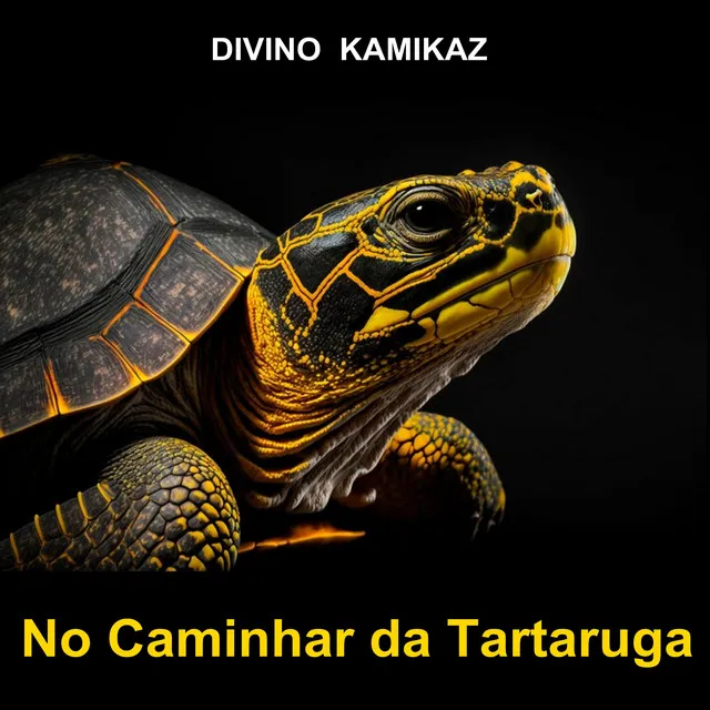 No Caminhar da Tartaruga