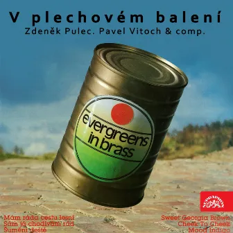 V Plechovém Balení by Studiový Orchestr Pavla Vitocha