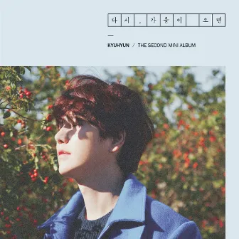 Fall, Once again - The 2nd Mini Album by KYUHYUN