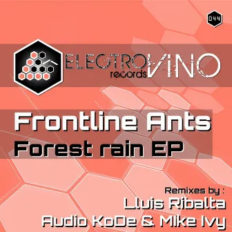 Forest rain by Frontline Ants