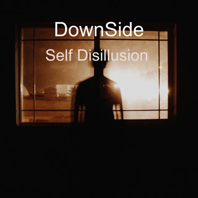 Self Disillusion