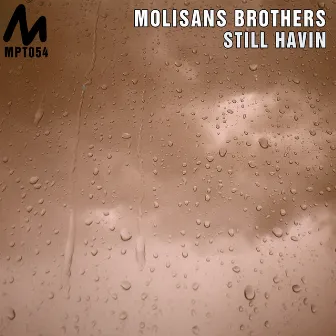 Still Havin by Molisans Brothers