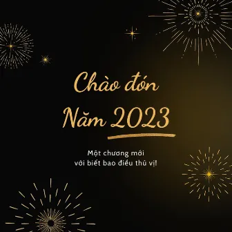 Nhạc Xuân Bolero - Chào 2023 by Hoang Ai My