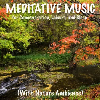 Meditative Music for Concentration, Leisure, And Sleep with Nature Ambience by Unknown Artist