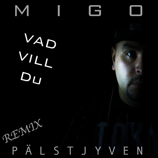 Vad vill du - Pälstjyven Remix