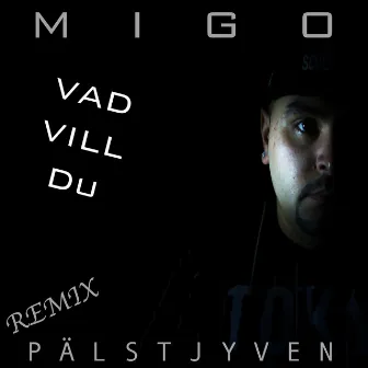 Vad vill du by Migo