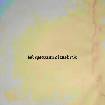 Beach Affection by Left spectrum of the brain